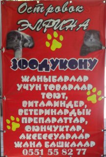 Kyrgyz assimilation of Russian words