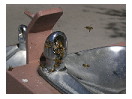 thumbnail1