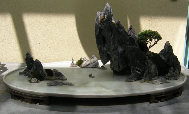 Bonsai
