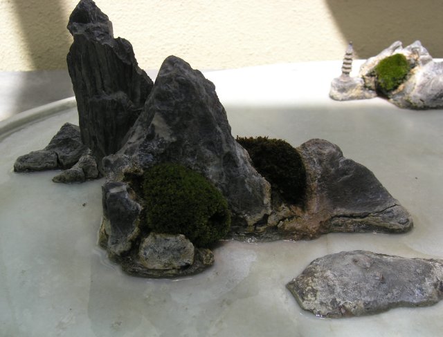 Bonsai