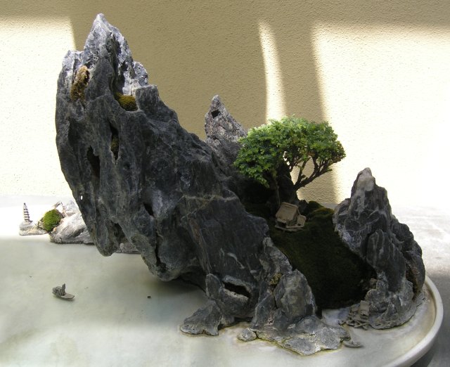 Bonsai