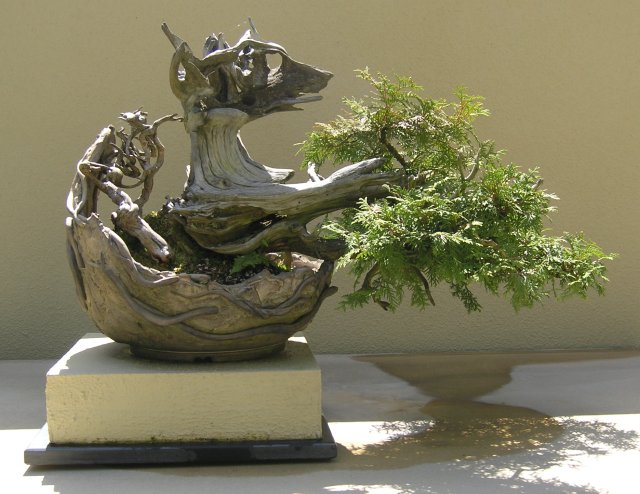 Bonsai