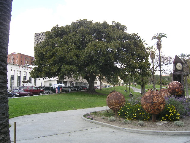 image16
