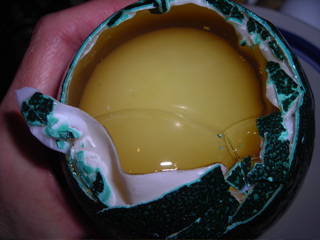 Photo of emu egg